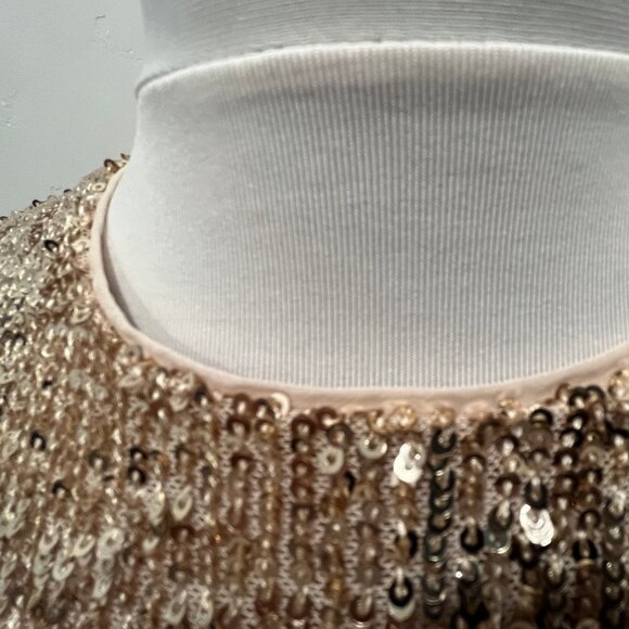 Ann Taylor Petite Sequin Midi Flare Dress NWT - Picture 5 of 10